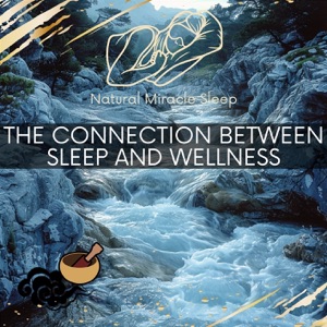 The Connection Between Sleep and Wellness