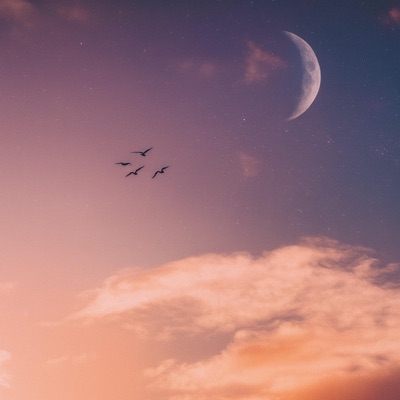 what's on ya mind? (feat. GrxmGrxpe) - Single