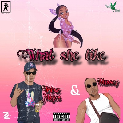 Trixzmigos - What She Like (feat. Hussey)