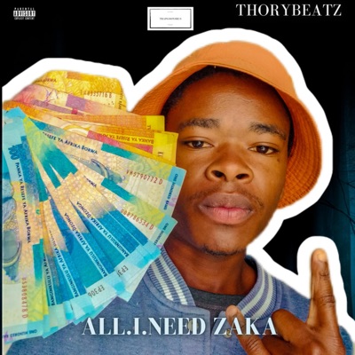A.I.N Zaka - Single