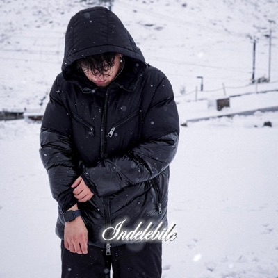Indelebile - Single