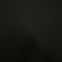 Jaythou (feat. SiahMoveTact) - Single - Bojack Horseman