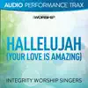 Hallelujah (Your Love Is Amazing)