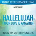 Hallelujah (Your Love Is Amazing)