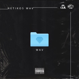 TAF Netikos & Nestor