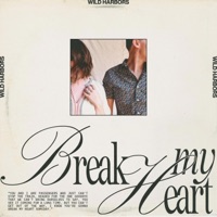 Break My Heart - Single - Wild Harbors