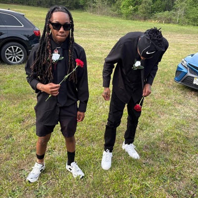 Pink Tulips - Single