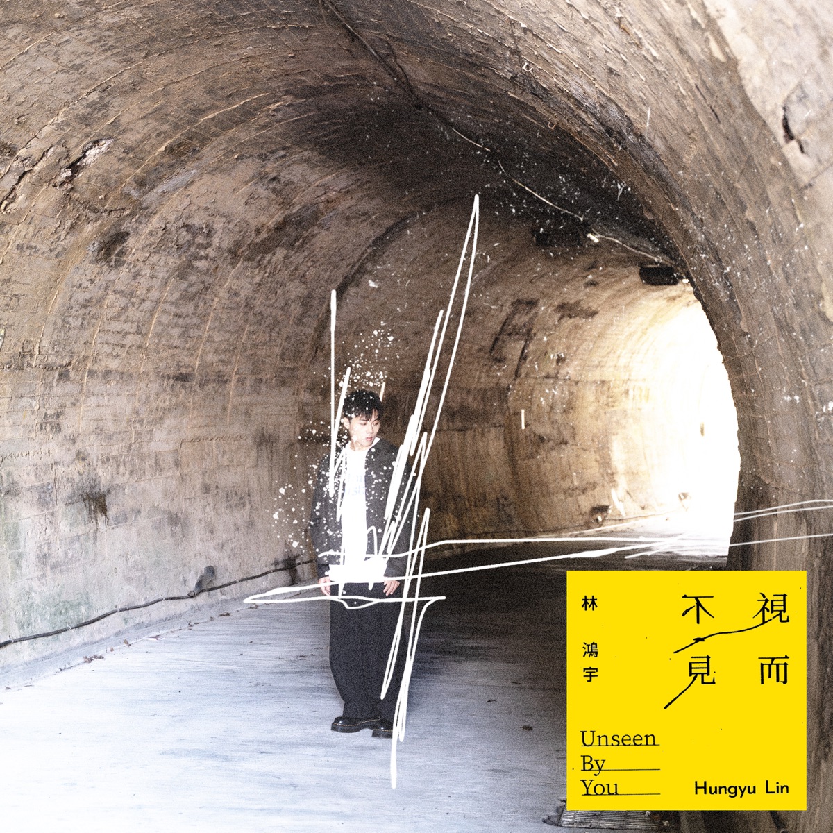 林鴻宇 - 視而不見 - Single (2025) [iTunes Plus AAC M4A]-新房子