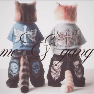 Meow Meow Cat Chan! - Single