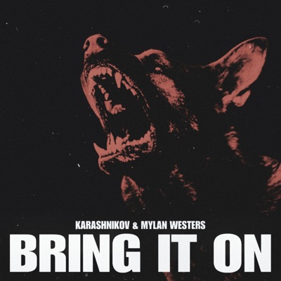 Bring It On - Single