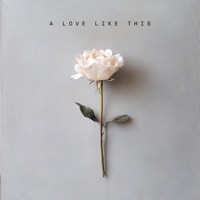 A Love Like This - Single - MAYLYN