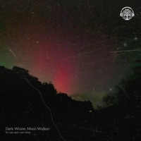 It's 1am and I can't sleep - Single - Dark Winter & moon.walken