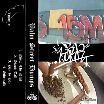 Palm Street Bumps - EP