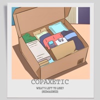What's Left to Lose? (Reimagined) - Single - Copaxetic