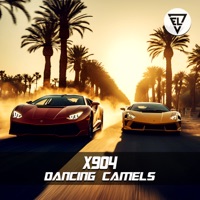Dancing Camels - Single - X904