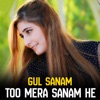 Too Mera Sanam He - Single