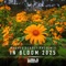 Maze (In Bloom 2025) [Dennis Sheperd Remix] - Freak E Beatz & EKE lyrics