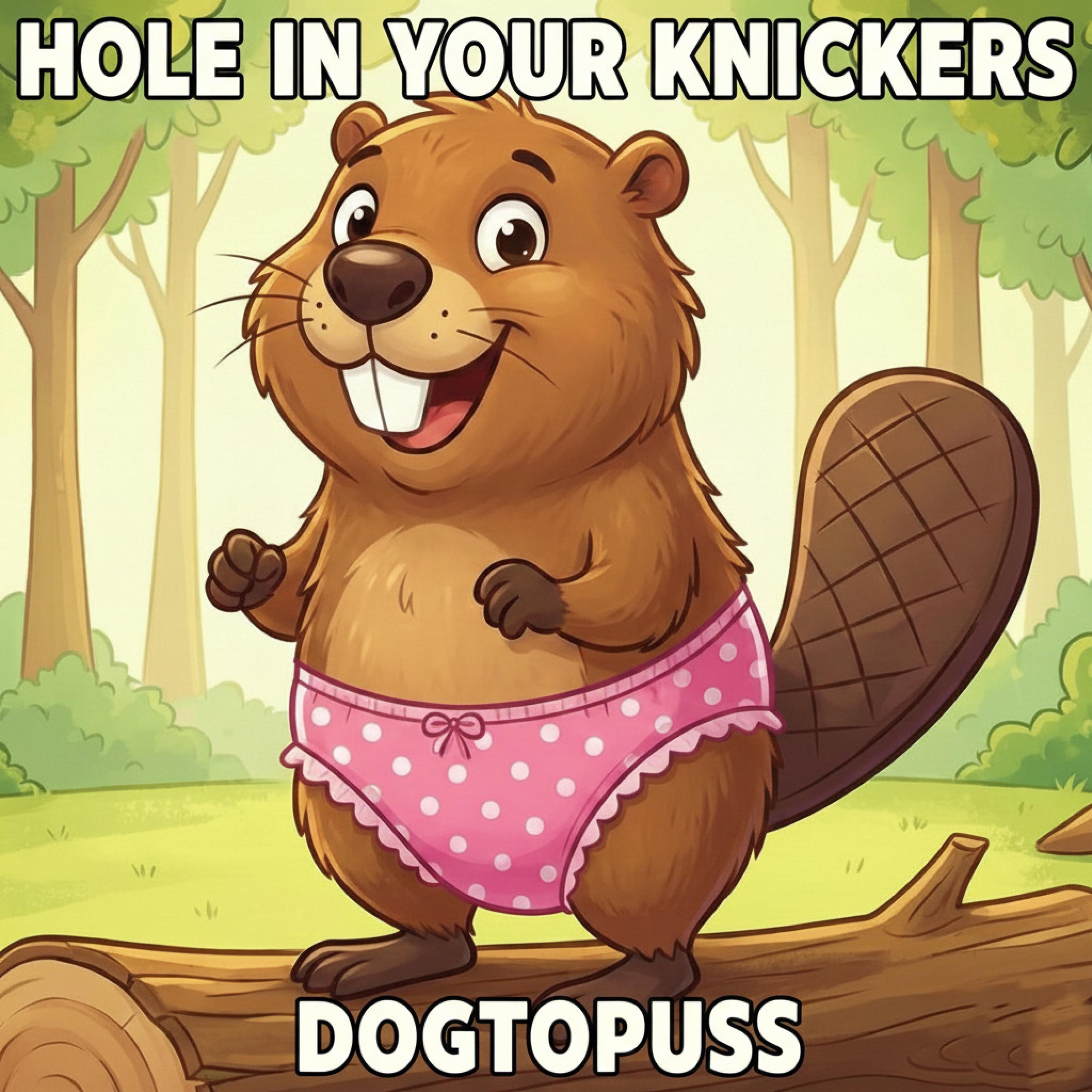 Hole in your knickers - Single