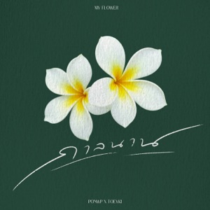 กาลนาน - Single