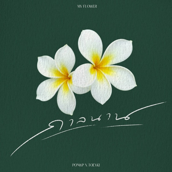 กาลนาน - Single