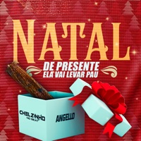 Natal de Presente Ela Vai Levar Pau - Single - Chelzinho no Beat & Angello