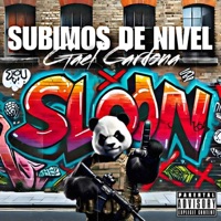 Subimos De Nivel (El Panda) - Single - Gael Cardona
