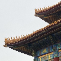 Beijing Flights - Single - Kobe Banks & Dr. Malcolm Lex