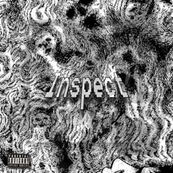 Inspect