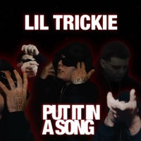 Put it in a song - Single - Lil Ricky Da B Town Demon