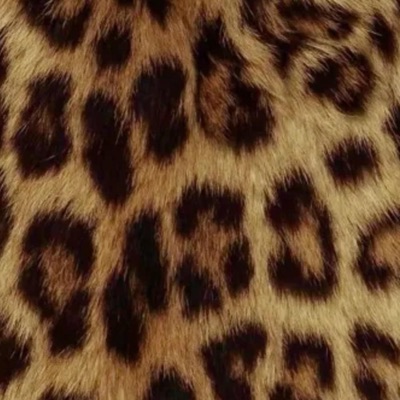 dinner time (feat. bronclair) - Single