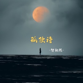 孤独诗 (伴奏) 智韵熙