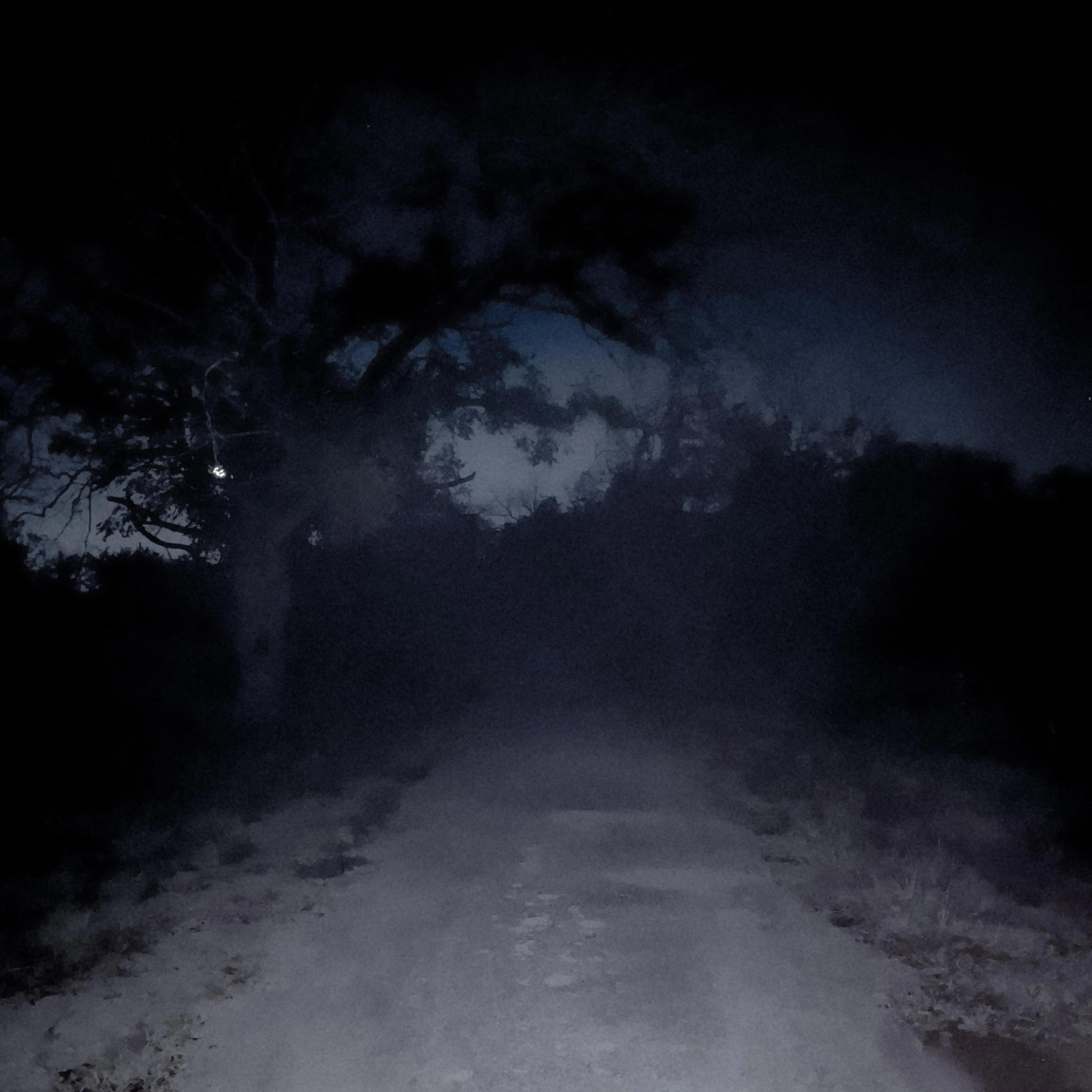 Heading Down A Dark Path - EP