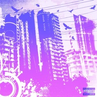 AMRAPALI - Single - colle$ttye