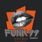 Funk 99 (feat. Mhlaba Wonke, Damage Deep & Harvey Music SA) [Ivale Mega] artwork