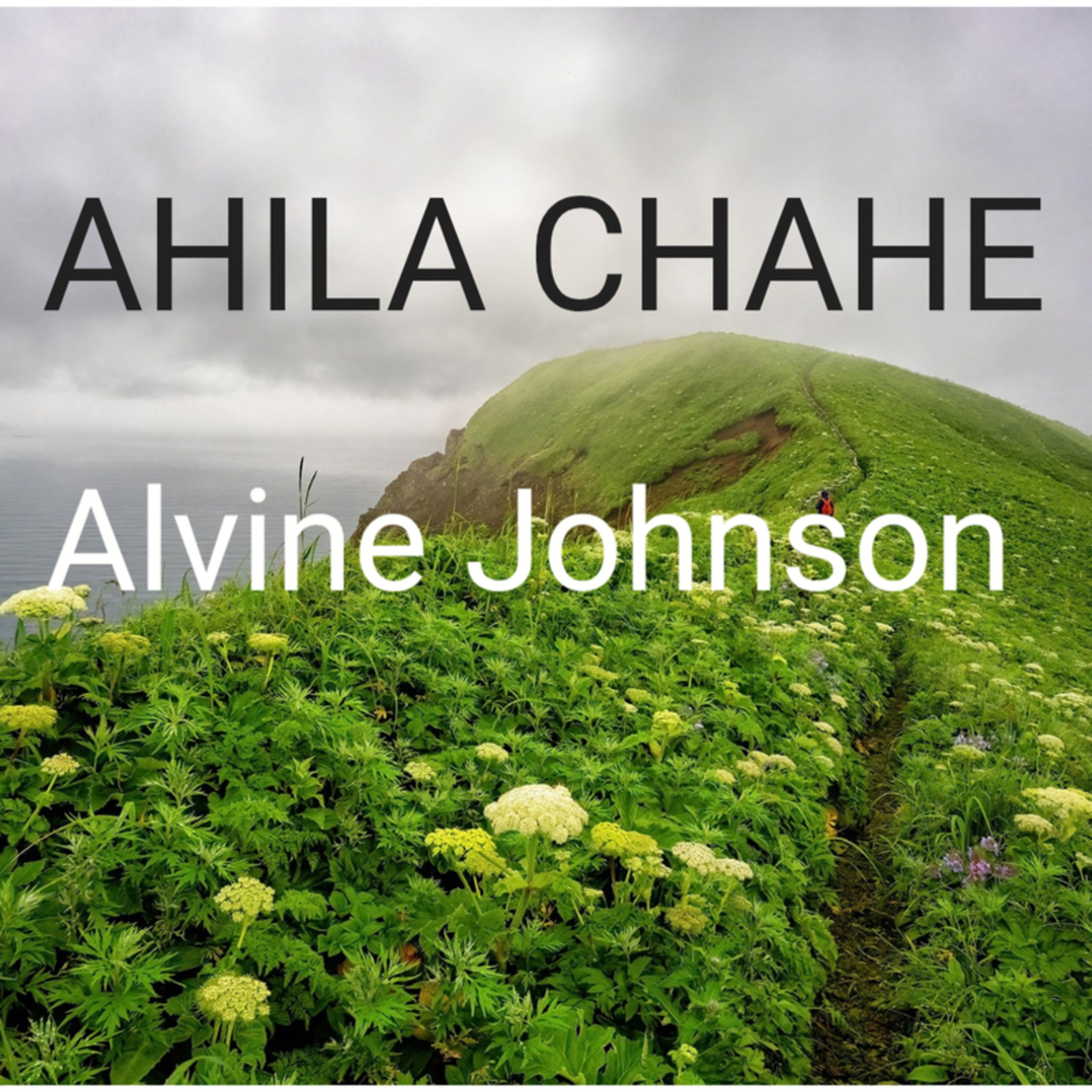 Alvine Johnson - Ahila chahe