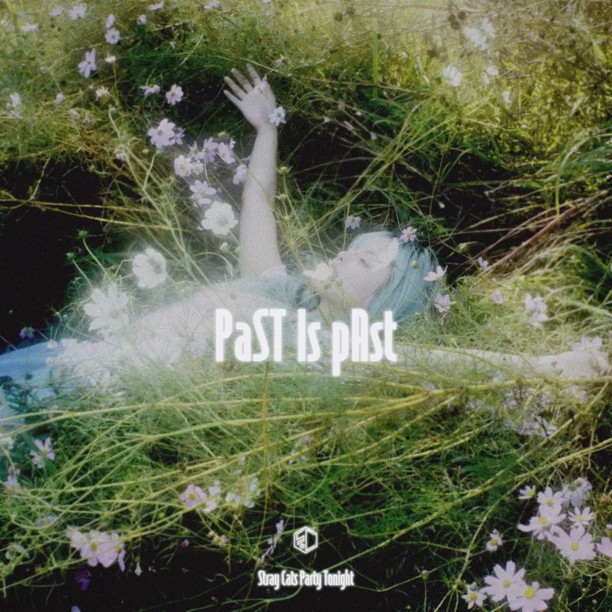 今夜流浪貓聚會 - PaST Is pAst (2025) [iTunes Plus AAC M4A]-新房子