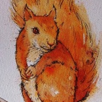 Szkarłatne Wiewiórki - Single - Jan Palacz