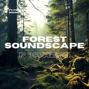 Forest Soundscape for Rest