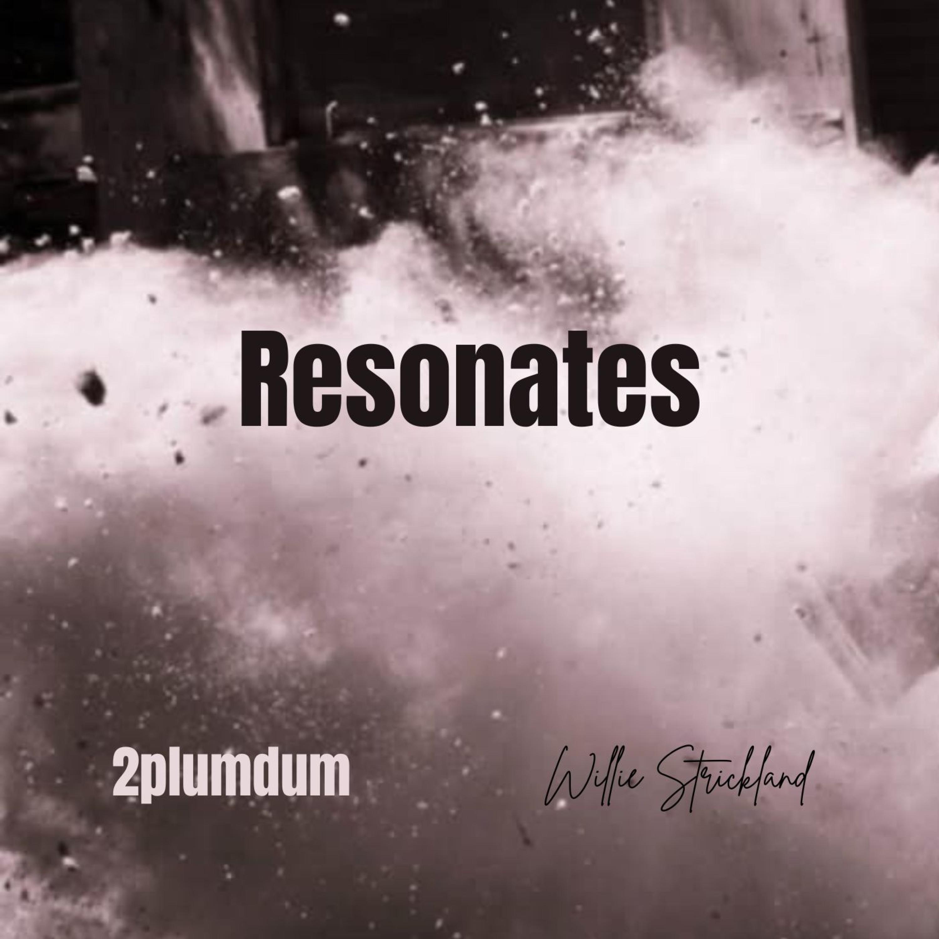 2plumdum - Resonates
