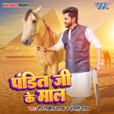 Pandit Ji Ke Maal - Single