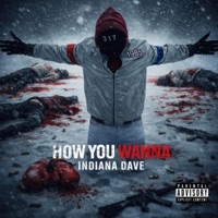HOW YOU WANNA - Single - Indiana Dave