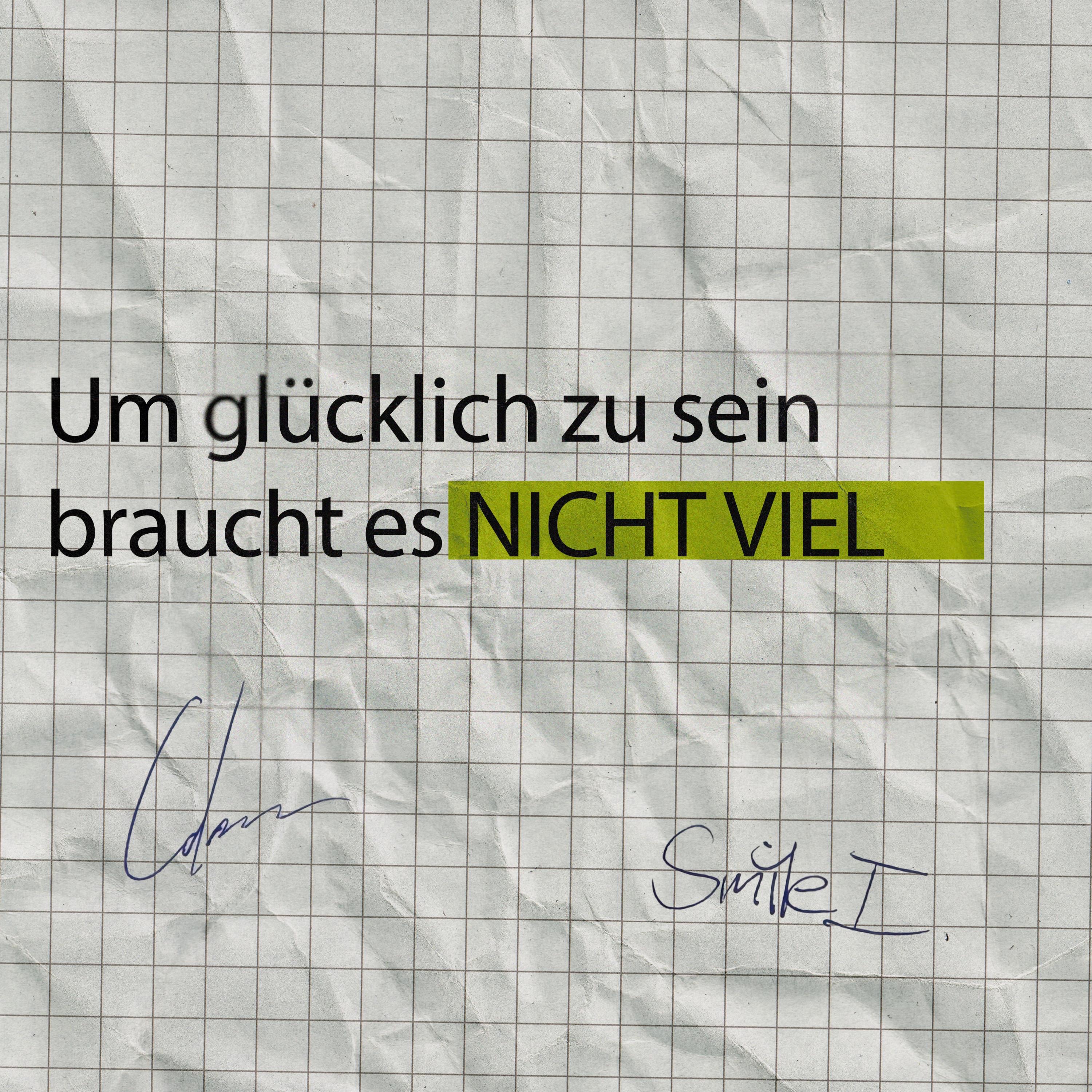 NICHT VIEL - Single