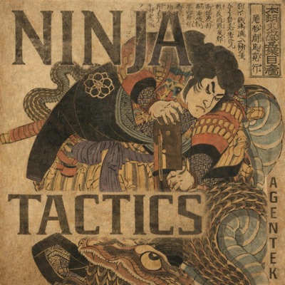 Ninja Tactics (feat. Wuilldafriqq) - Single