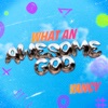What An Awesome God