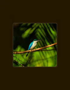 收听 felhony、观看音乐视频、阅读小传、查看巡演日期等 ！