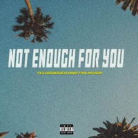 NOT ENOUGH FOR YOU (feat. Palmysix) - Single - TELHUNDRED