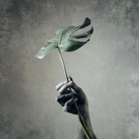 RÉM - Single - Kertekalatt