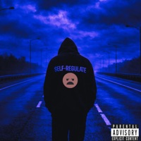 self-regulate - Single - Skitzen