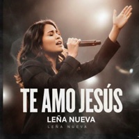 Te Amo Jesus.