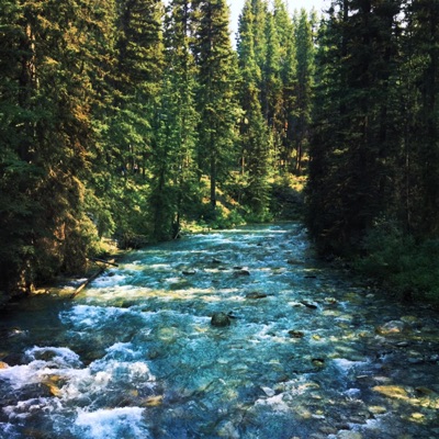 off trails (ambient flips vol. II) - EP